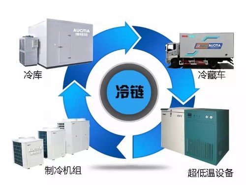 張迎新 我與中國(guó)冷鏈物流這三十年