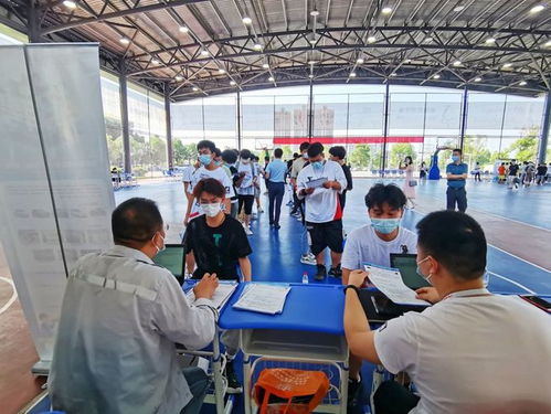 疫情影響下蔡甸職校生 從校門到廠門無縫對接，職業(yè)中介服務(wù)助力就業(yè)關(guān)