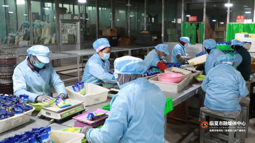 春節(jié)訂單激增 臨夏鄉(xiāng)村就業(yè)工廠沖刺開門紅
