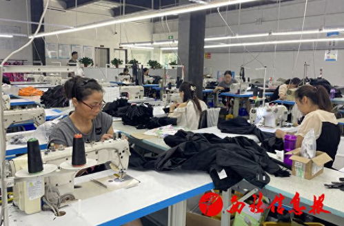 城固蓮花街道服裝廠 家門口就業(yè)穩(wěn)崗 職業(yè)中介服務(wù)添保障