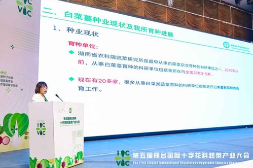 小種子撬動大產業——第五屆邢臺國際十字花科蔬菜產業大會啟帷